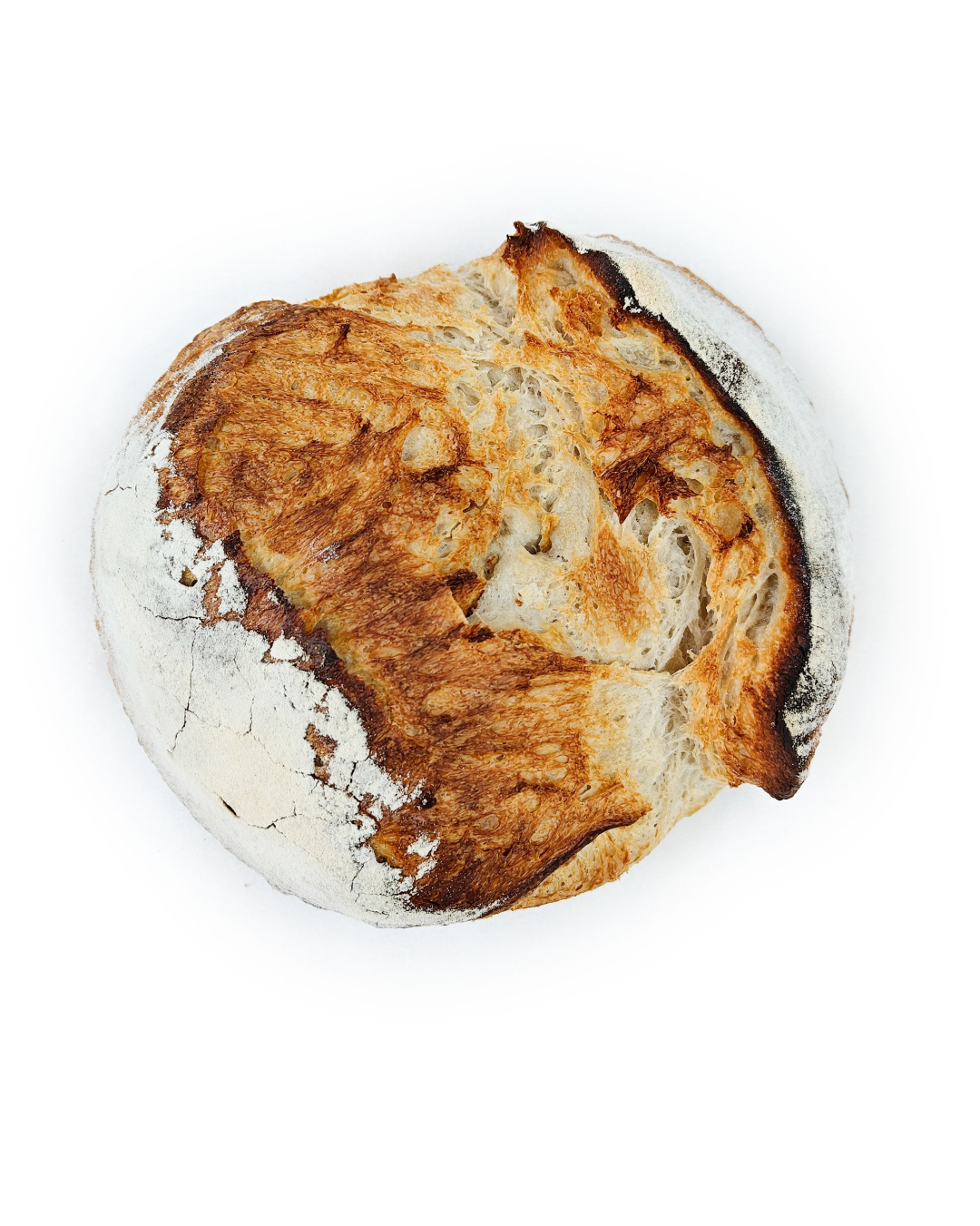 ZUBI BAKES GLV RUSTIC WHITE SOURDOUGH